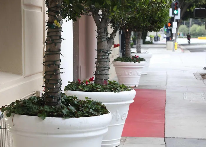 3 SterneHotel Carmel